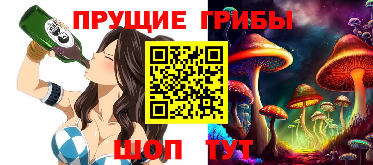 Псилоцибиновые грибы Psilocybe  закладка  Елизово  Галлюциногенные грибы ЛСД  Вход с VPN 