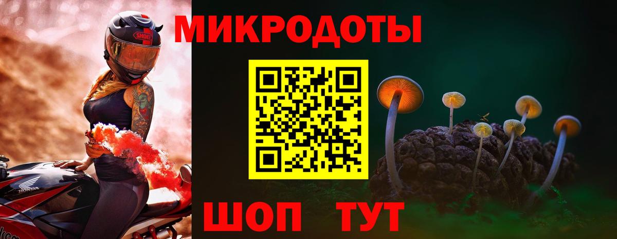 Псилоцибиновые грибы мицелий Елизово